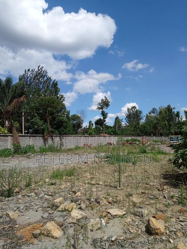 Prime Residential Plot , 1/2 Âcre, Second Row, Thome - thumbnail 2