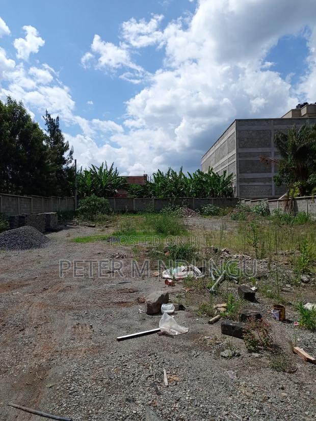 Prime Residential Plot , 1/2 Âcre, Second Row, Thome - thumbnail 3