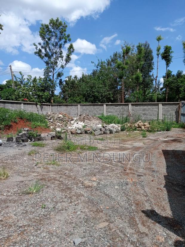 Prime Residential Plot , 1/2 Âcre, Second Row, Thome - thumbnail 6