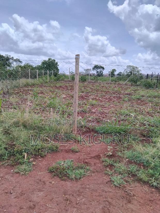 Tola, 50x100 Plots. - thumbnail 4