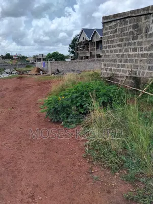 Tola, 50x100 Plots.
