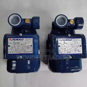 Pedroll 0.5hp Booster Pump