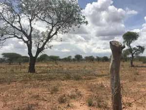 4 Acres Farm Makindu