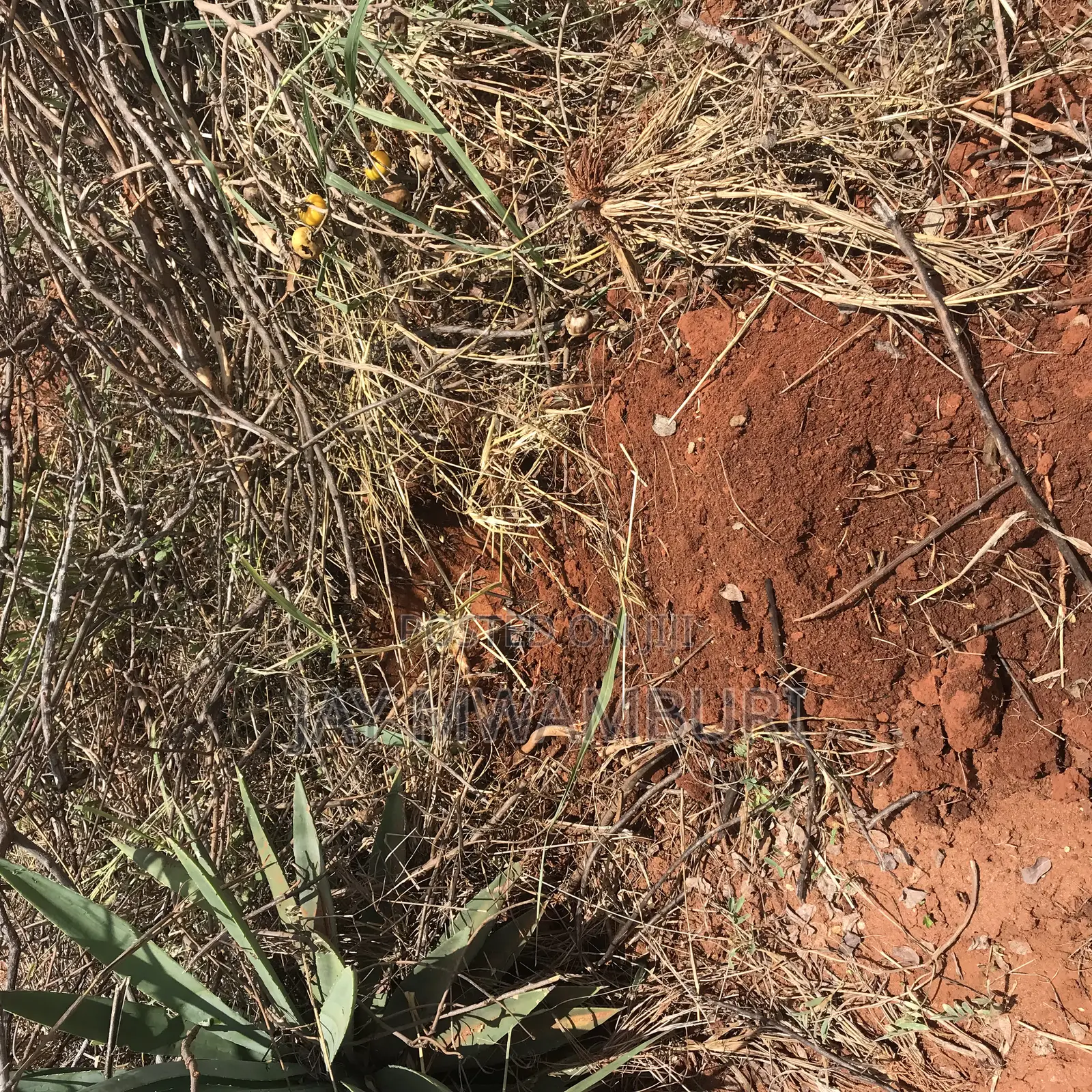 4 Acres Farm Makindu