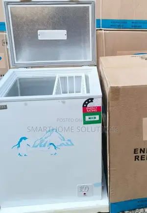 White Ecomax 119 Litres Chest Deep Freezer Efr-119