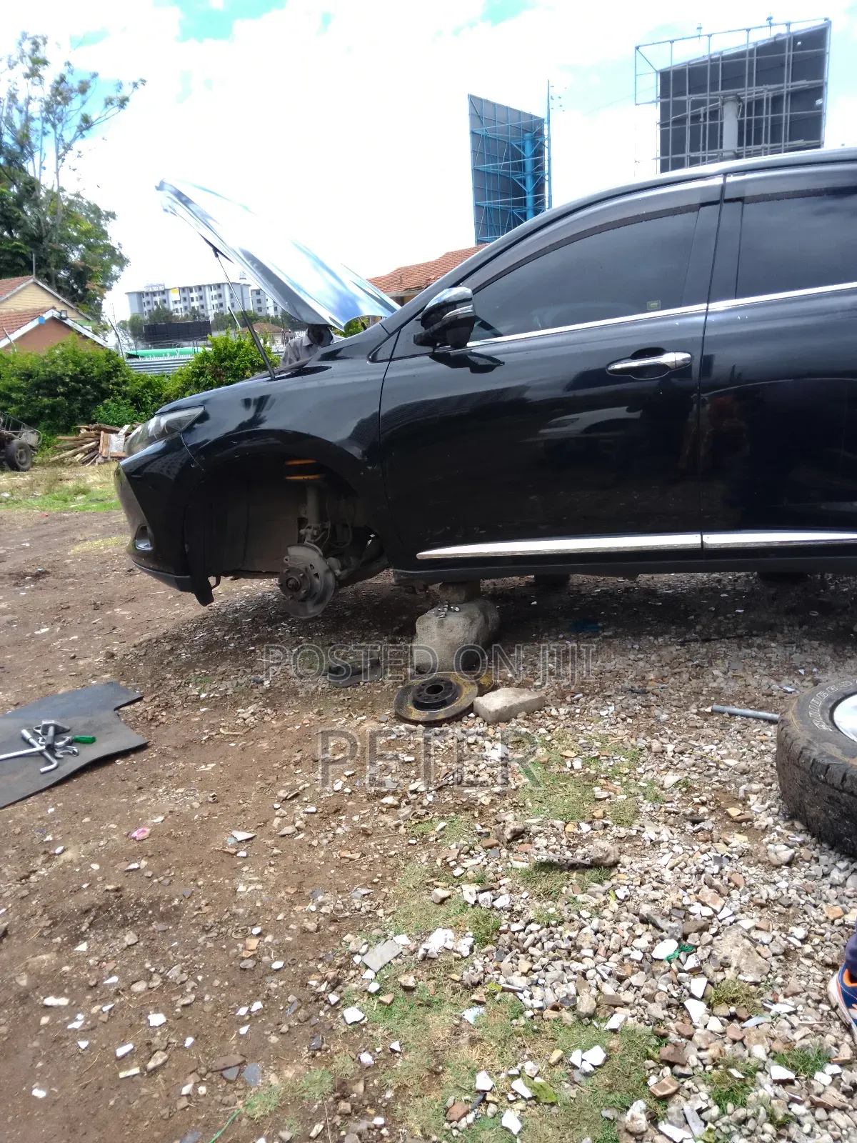 Professional Mechanic