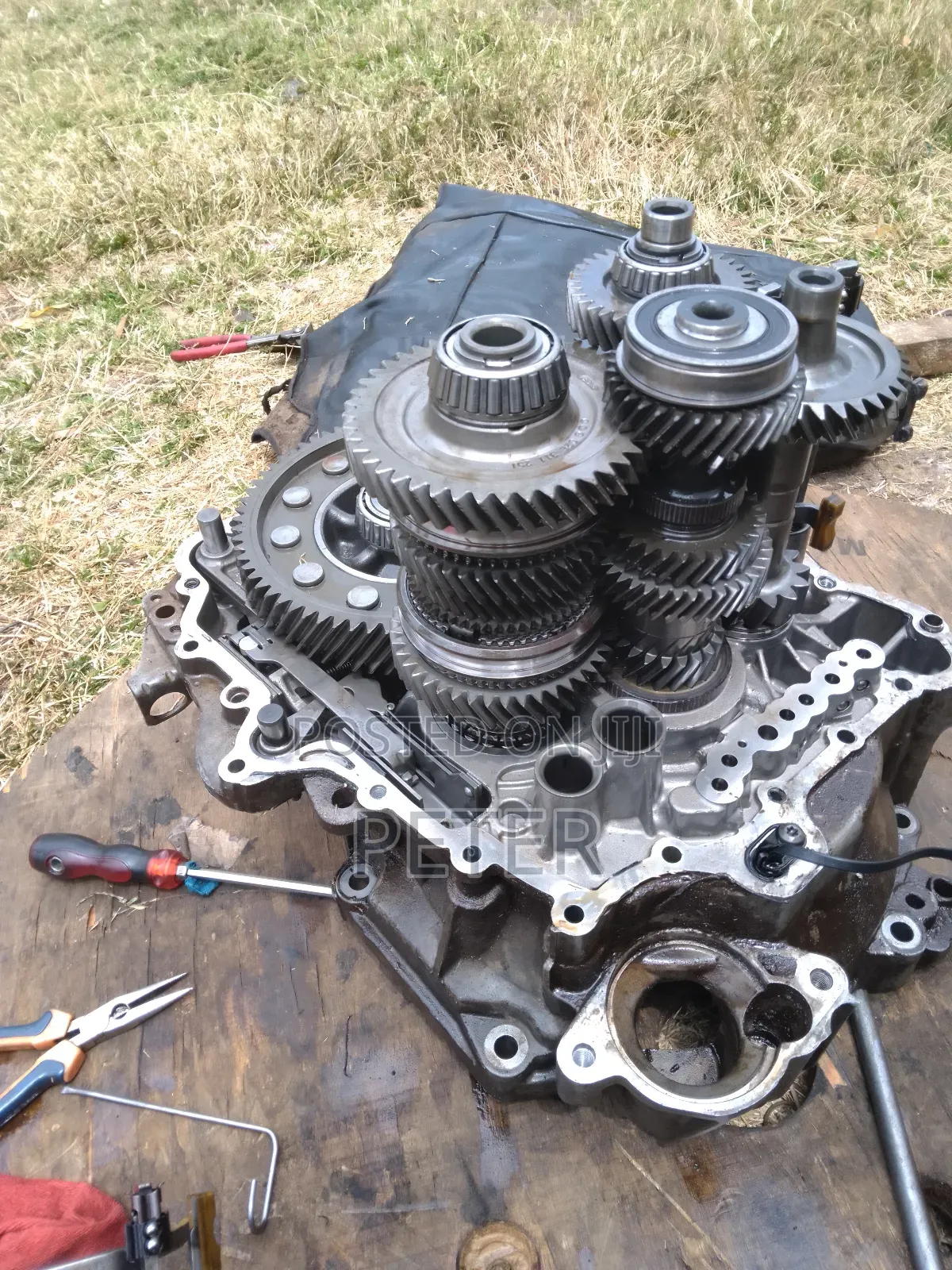 Professional Mechanic