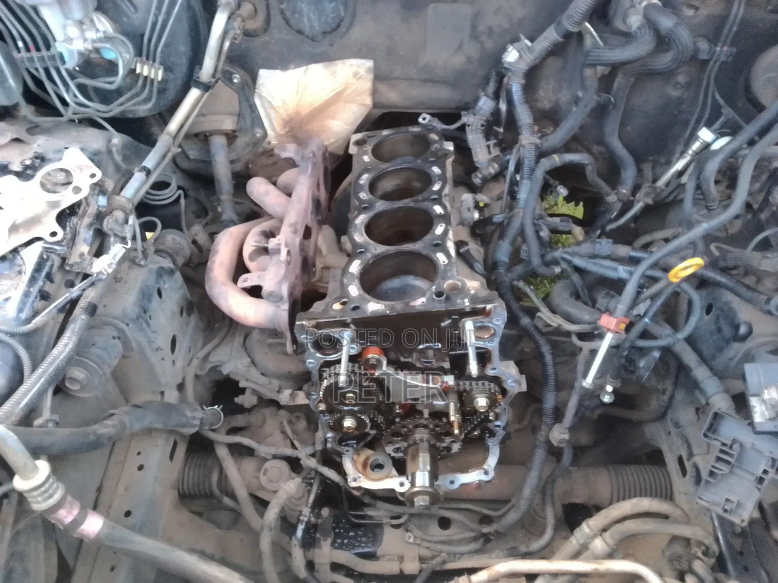 Professional Mechanic