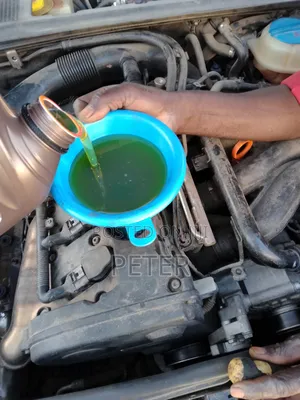 Professional Mechanic