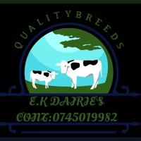 E.K DAIRIES logo