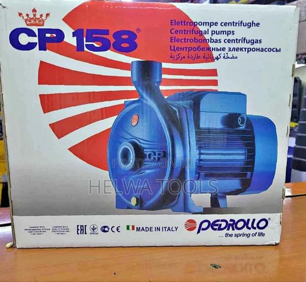 Electric Pedrollo Water Pump, 1 Hp - main view