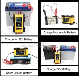 Universal 12v/24v All Batteries Charger