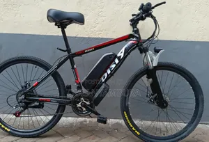 Electric Adult Bike, Size 26 Electric Bike