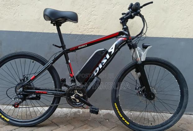 Electric Adult Bike, Size 26 Electric Bike