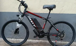 Affordable Electric Bike, Size 26 Electric Bicycle