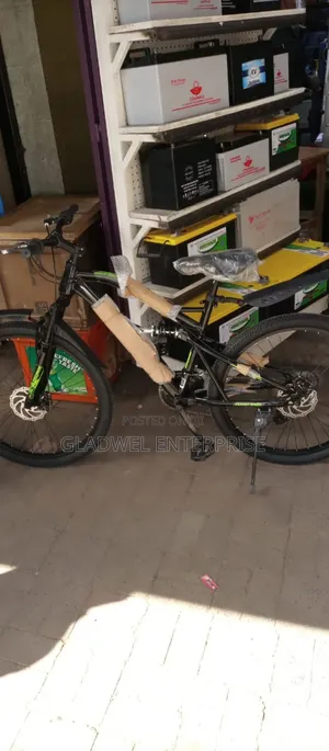 Unisex Bicycle/Sport Bike Size 26 With Gears