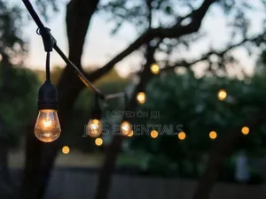10 Metres 20 Bulbs Festoon Lights