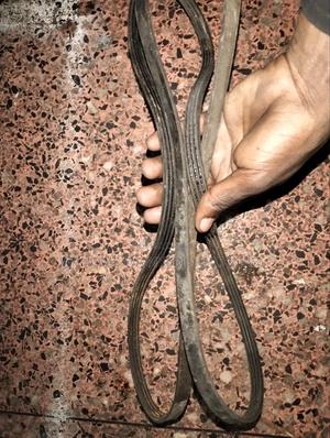 Timing Belt 1nz Probox ,Fielder,Axio - main view