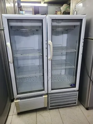 Min Commercial Display Fridge Chiller