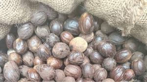 Nutmeg Whole 1 Kg - thumbnail 2