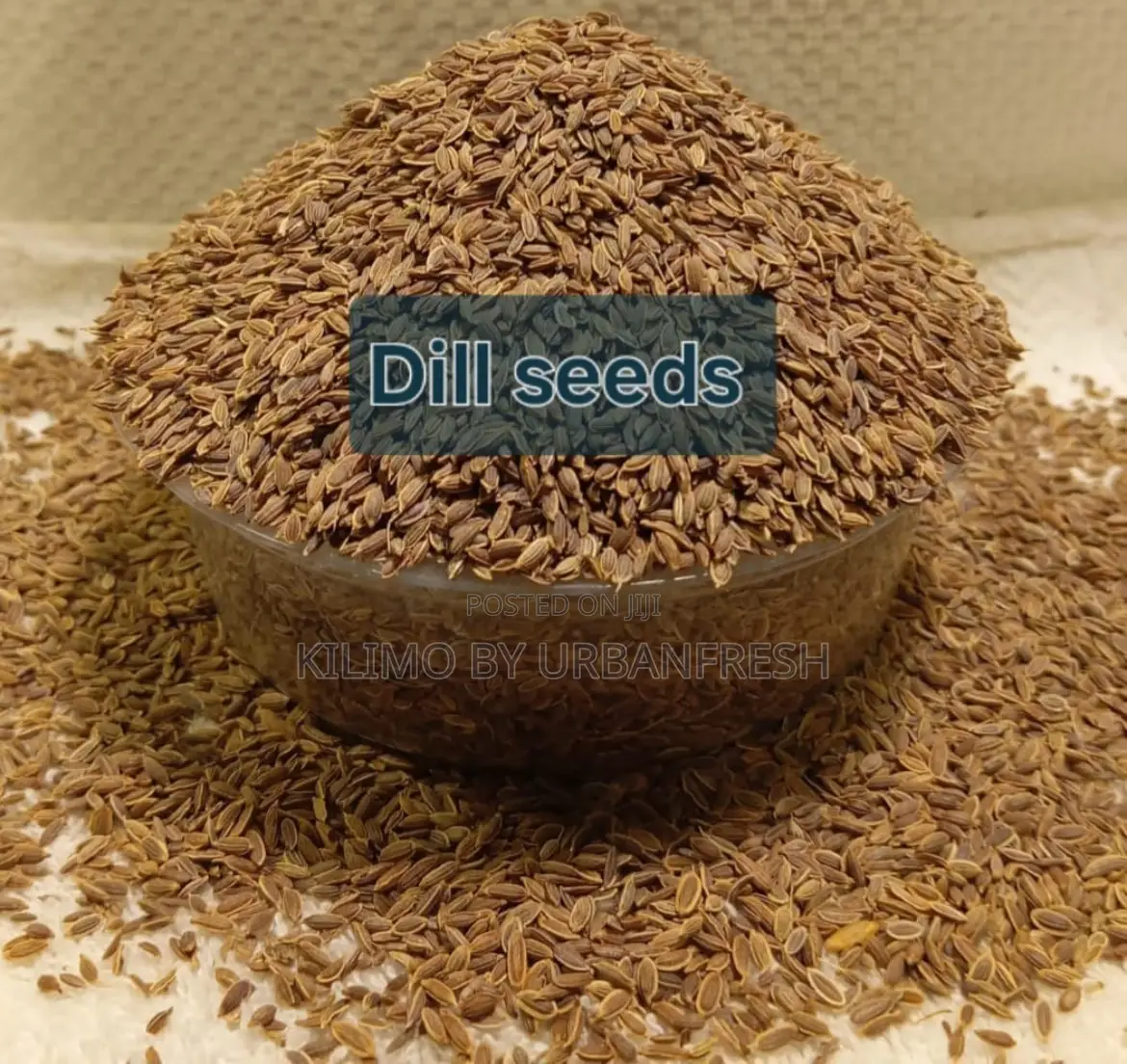 Dill Seeds Whole for Consumption