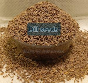 Dill Seeds Whole for Consumption - thumbnail 2