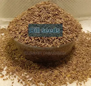 Dill Seeds Whole for Consumption