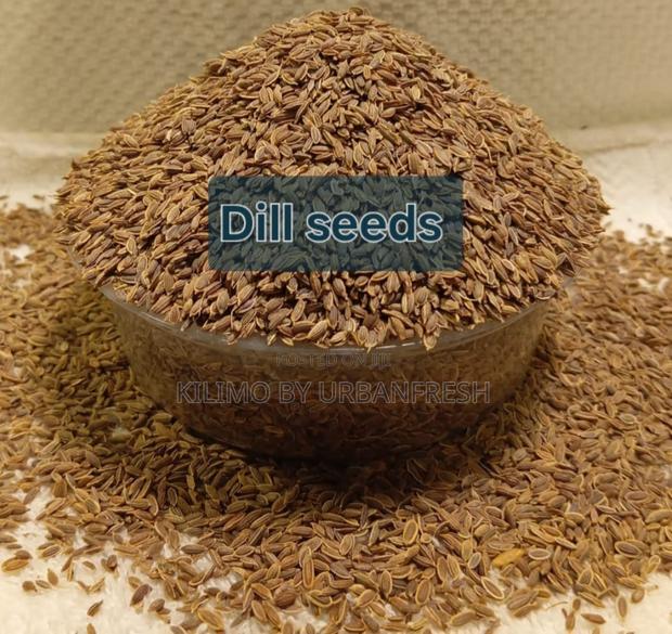 Dill Seeds Whole for Consumption - main view