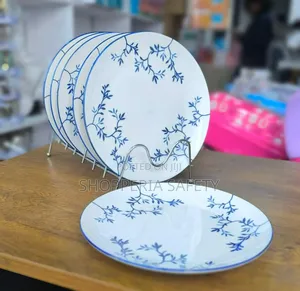 Blue Floral Dinner Plates