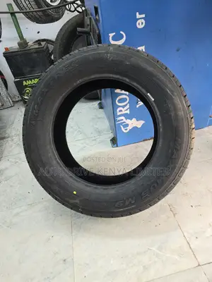 195/65r15 Maxtrek Maximus Tire
