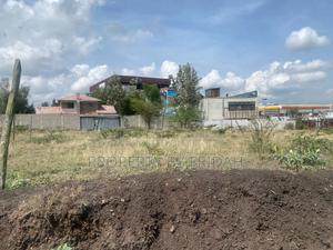 100/100 Plot in Chuna for Sale - thumbnail 2