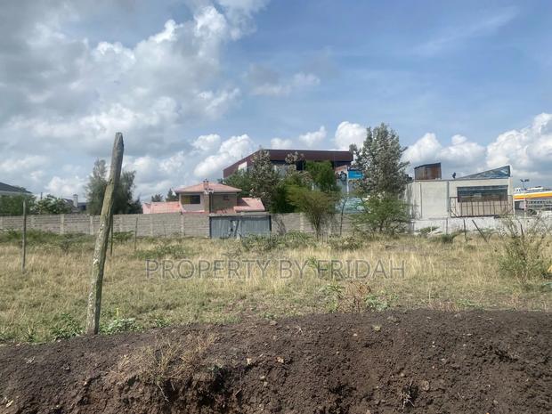 100/100 Plot in Chuna for Sale - thumbnail 3