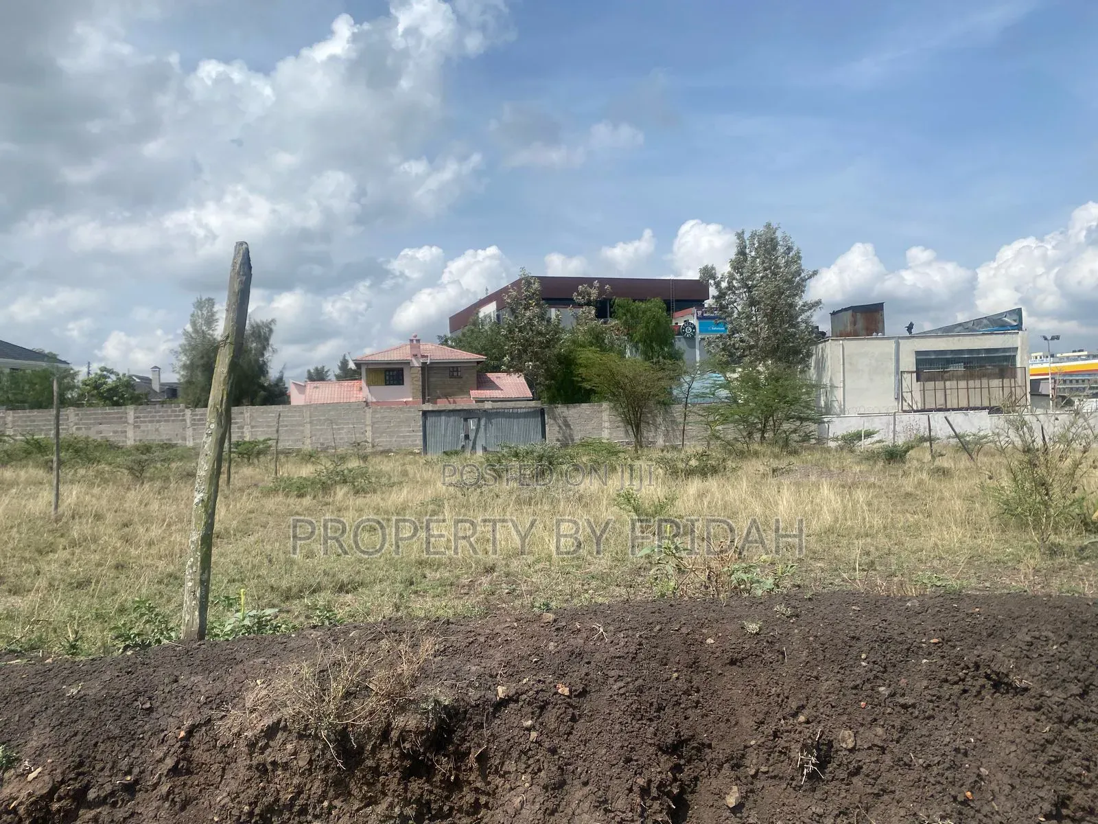 100/100 Plot in Chuna for Sale