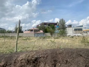100/100 Plot in Chuna for Sale