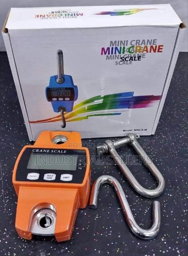 300kg Crane Scale (Hanging Scale) - main view