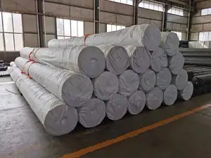 Geogrid Geotextile Polyester Material