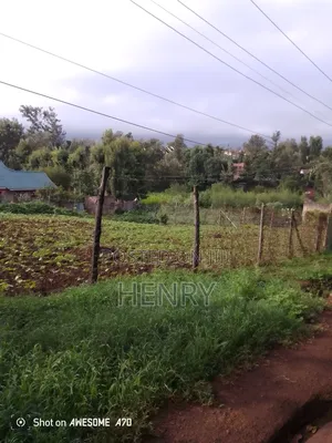 Land for Sale
