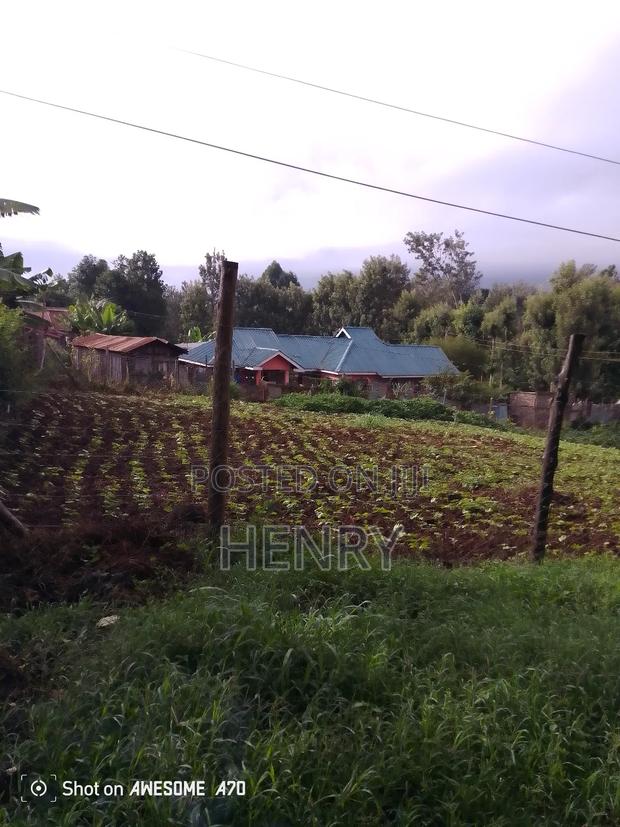 Land for Sale - thumbnail 3