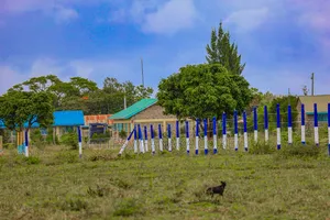 Lipa Polepole Plots for Sale^Ma