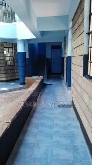 Wall Master,Skimming ,Painting Services