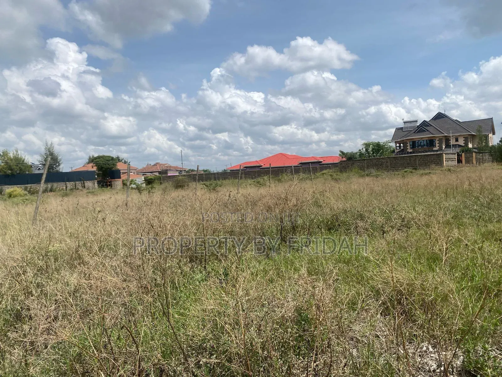 100/100 Plot for Sale in Chuna