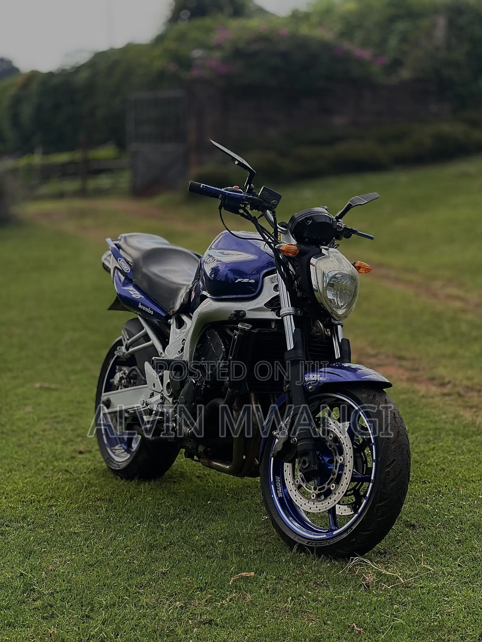 Yamaha FZ6 2005 Blue
