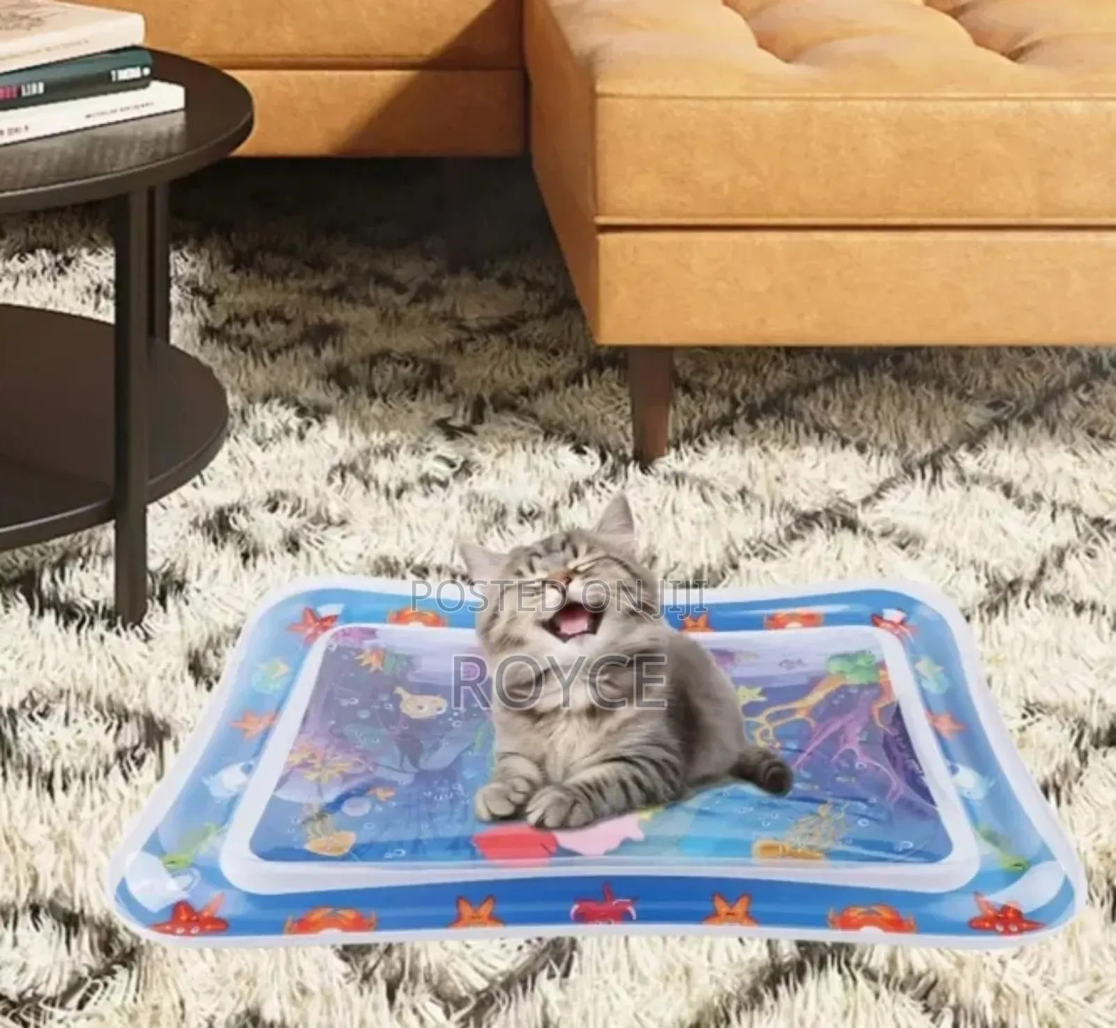 Water Play Mat- {69*50*8cm}