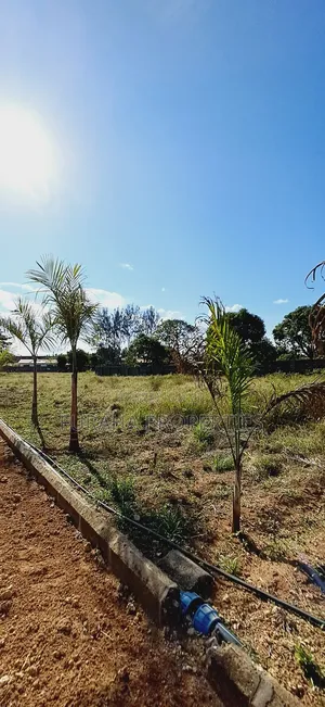 For Sale Eighth Acre Plots Mtwapa