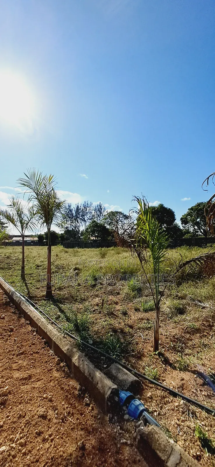 For Sale Eighth Acre Plots Mtwapa
