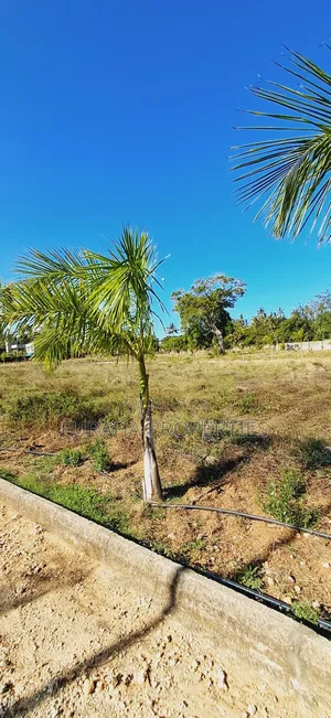 For Sale Eighth Acre Plots Mtwapa
