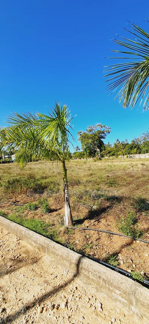 For Sale Eighth Acre Plots Mtwapa - thumbnail 6