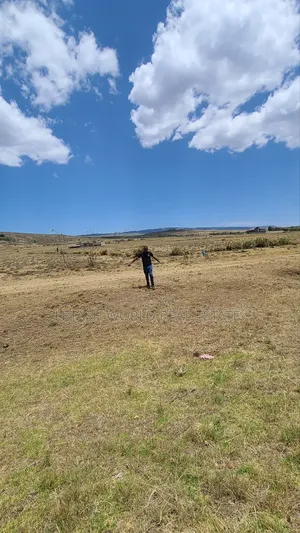 Right Next to the Tarmac ,3 Acres of Land