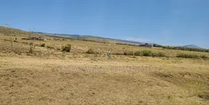 Right Next to the Tarmac ,3 Acres of Land