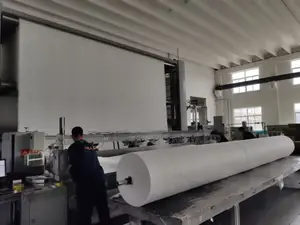 Quality Non-wooven Filter Cloth Membrane